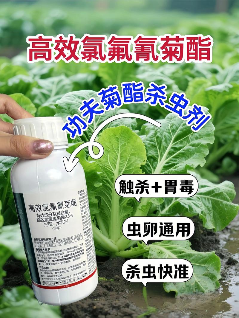 宁河代生中心:农药对供卵代生妈妈的危害